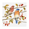 Trademark Fine Art Jane Maday 'Birds And Berries Iv' Canvas Art, 14x14 WAG13827-C1414GG